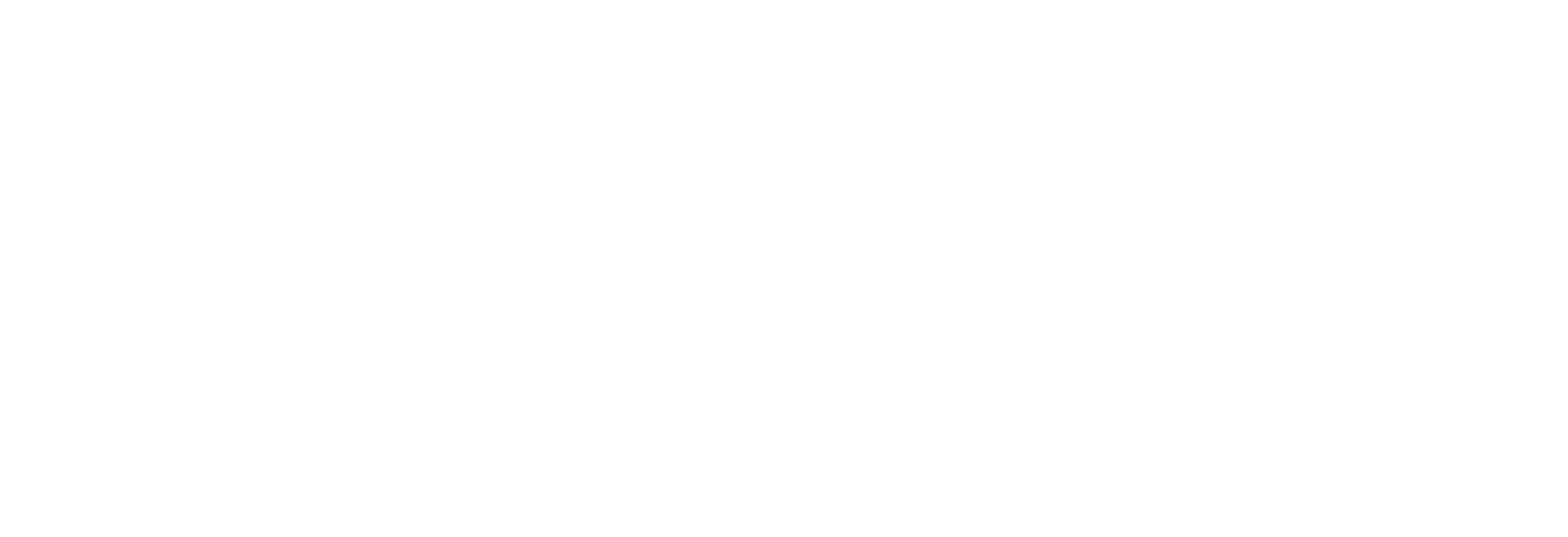 LOGO_CE White